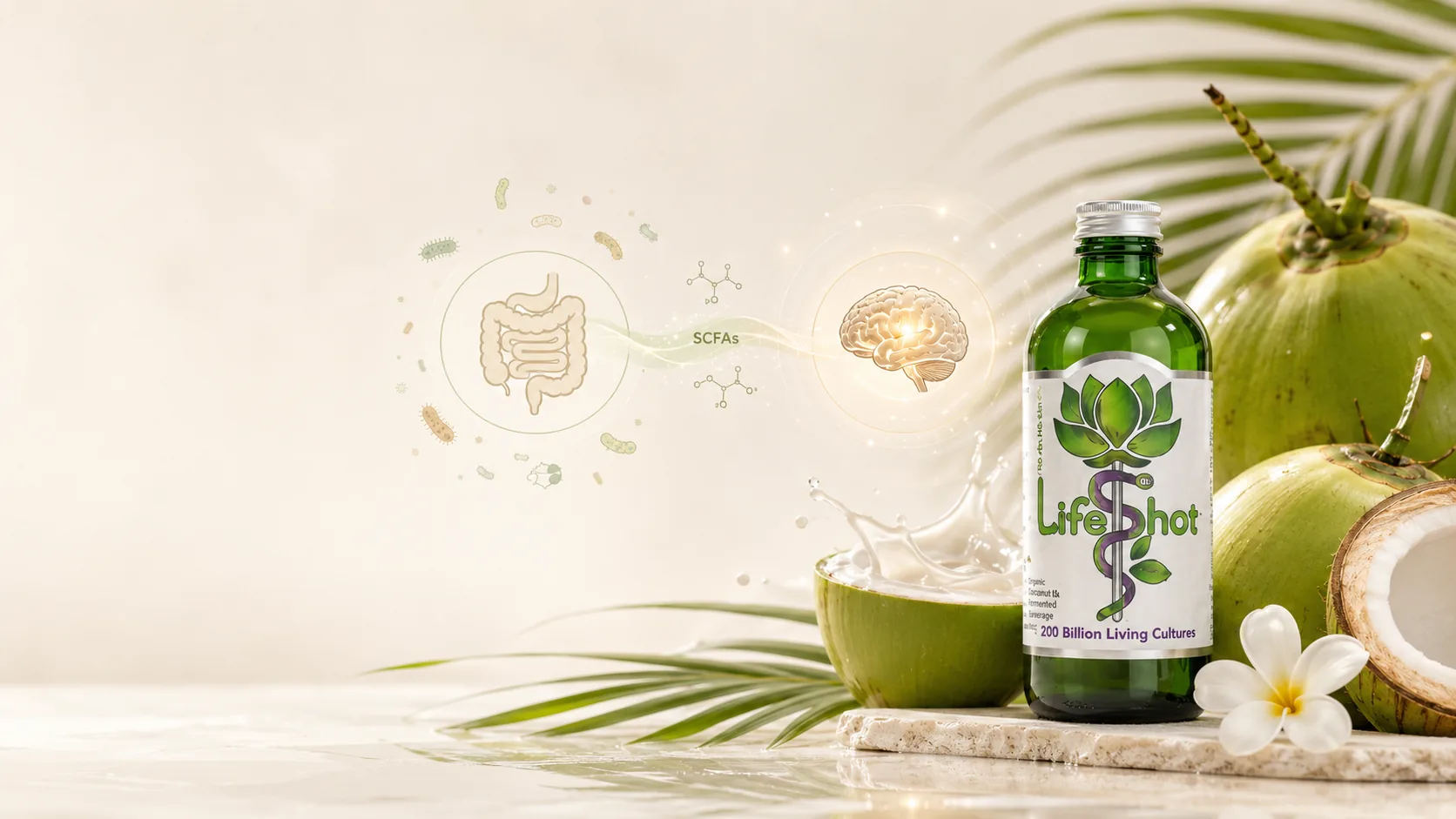 Life Shot bottle with fresh coconuts, illustrating the gut-brain link through short-chain fatty acids